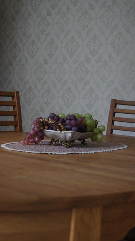 パランガVienaragio Apartamentaiアパートメント エクステリア 写真
